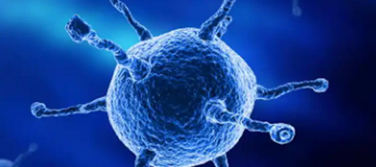 免疫療法 免疫療法